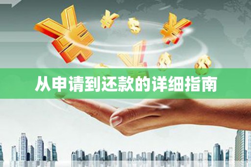 桐城从申请到还款的详细指南