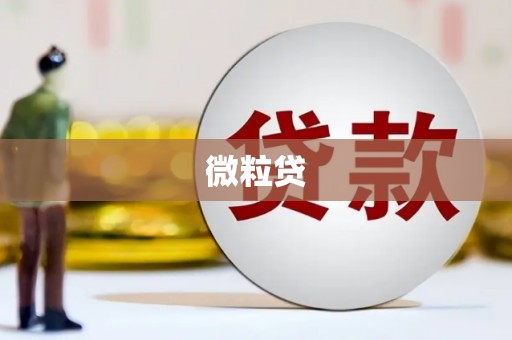 桐城微粒贷