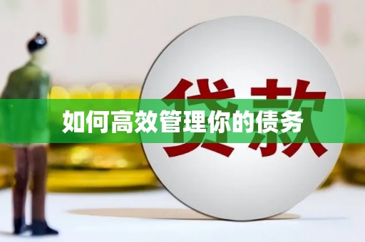 桐城如何高效管理你的债务
