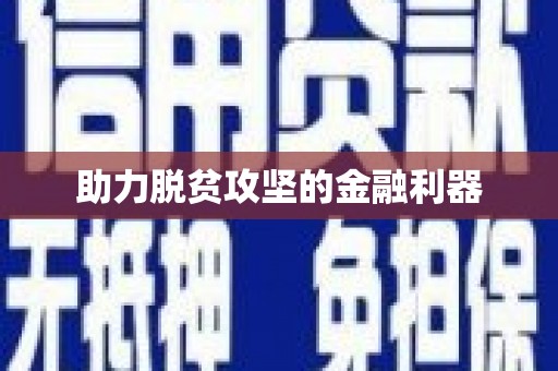 桐城助力脱贫攻坚的金融利器
