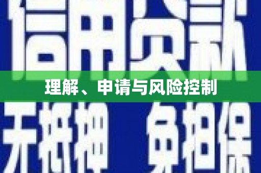 桐城理解、申请与风险控制