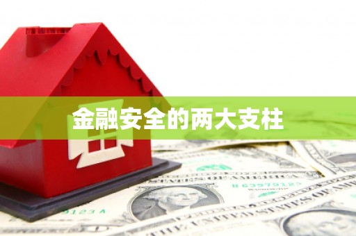 桐城金融安全的两大支柱