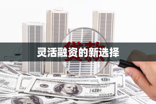 桐城灵活融资的新选择