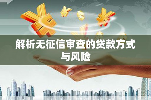 桐城解析无征信审查的贷款方式与风险