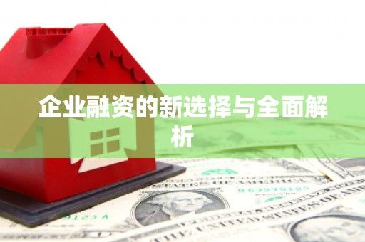 桐城企业融资的新选择与全面解析