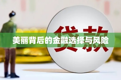 桐城美丽背后的金融选择与风险
