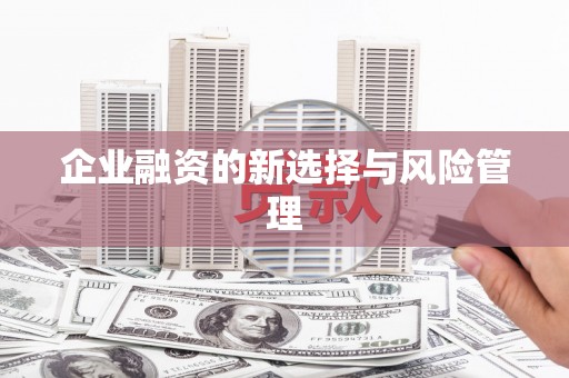 桐城企业融资的新选择与风险管理