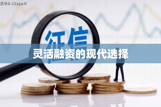 桐城灵活融资的现代选择