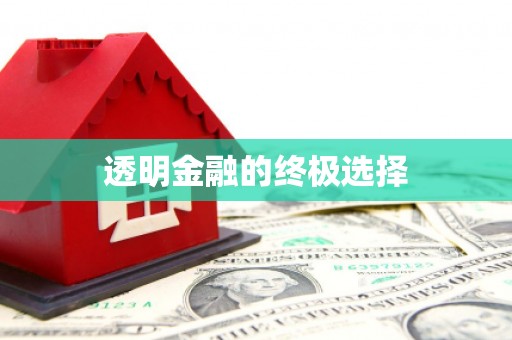 桐城透明金融的终极选择
