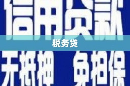 桐城税务贷