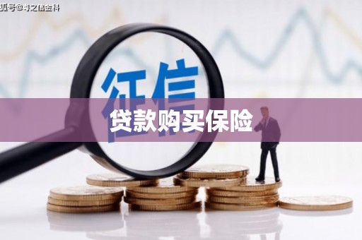 桐城贷款购买保险