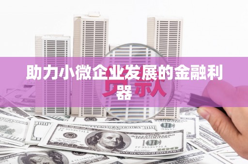 桐城助力小微企业发展的金融利器