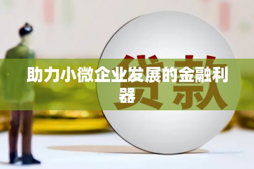 桐城助力小微企业发展的金融利器