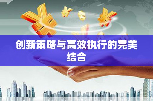 桐城创新策略与高效执行的完美结合
