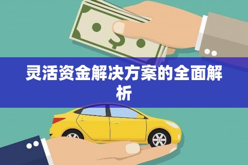 桐城灵活资金解决方案的全面解析