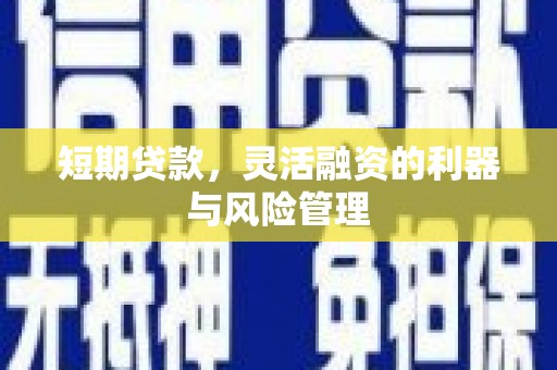 桐城短期贷款，灵活融资的利器与风险管理